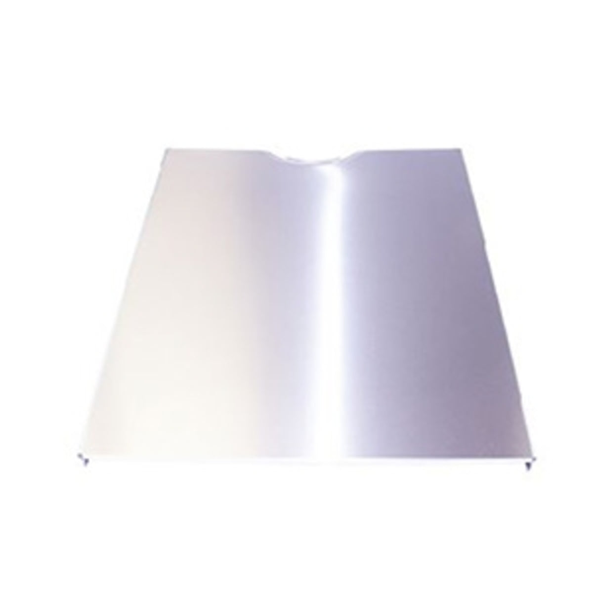 00770776 Bosch Dishwasher Outer Door Panel - Stainless Steel-1