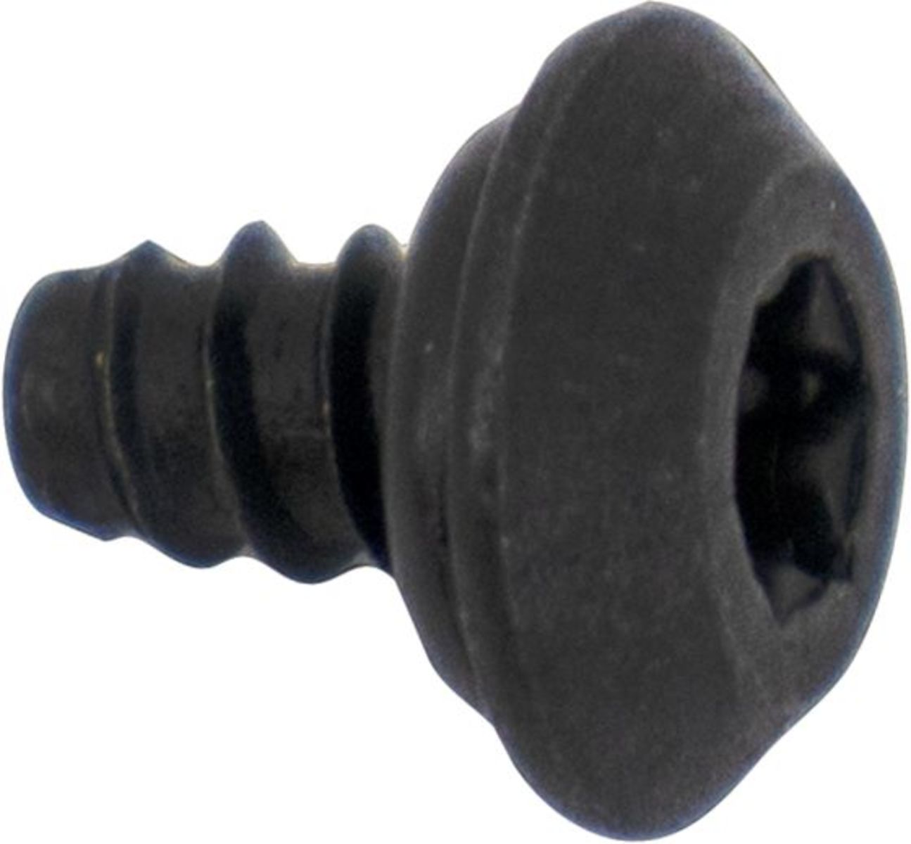 Bosch 10016308 SCREW-1