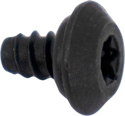 Bosch 10016308 SCREW-1