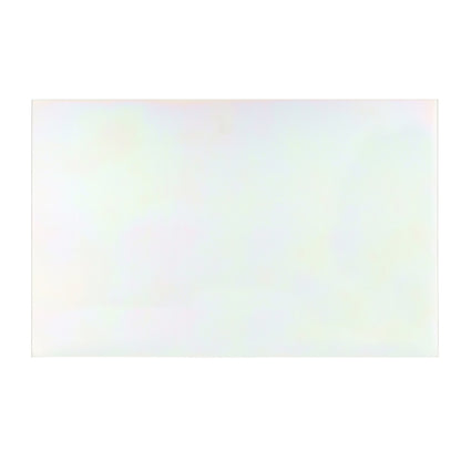 4890W1N009H LG Wall Oven Glass Window-2
