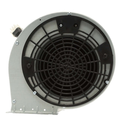W11106377 Whirlpool Range Hood Blower Fan-6