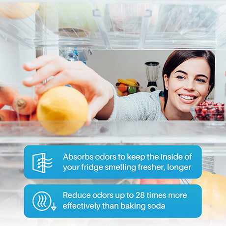 Replacement for GE-ODORFILTER Cartridge