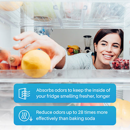Replacement for GE-ODORFILTER Cartridge